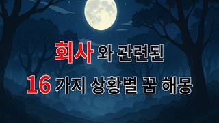 꿈해몽｜회사가 꿈꾸는 미래, 그 안에서 만나는 희망의 조각들｜16가지분석